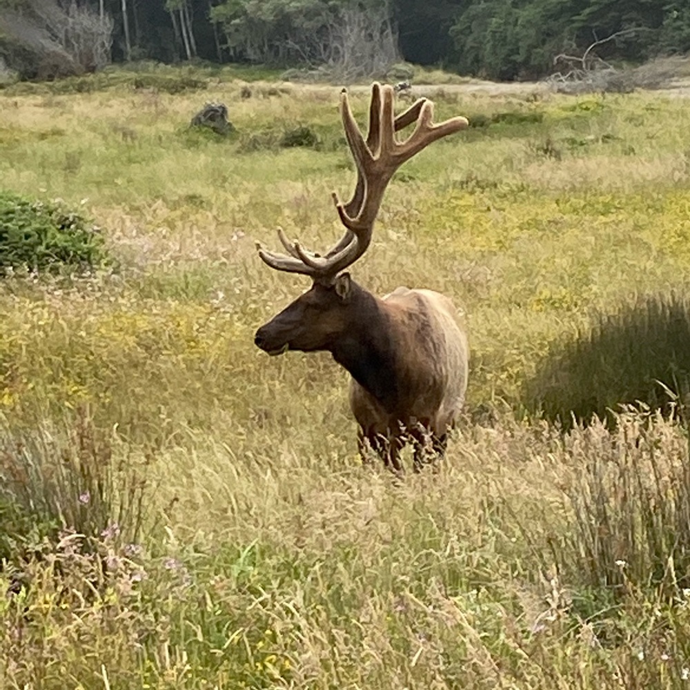 Meet your Posher, Holly
